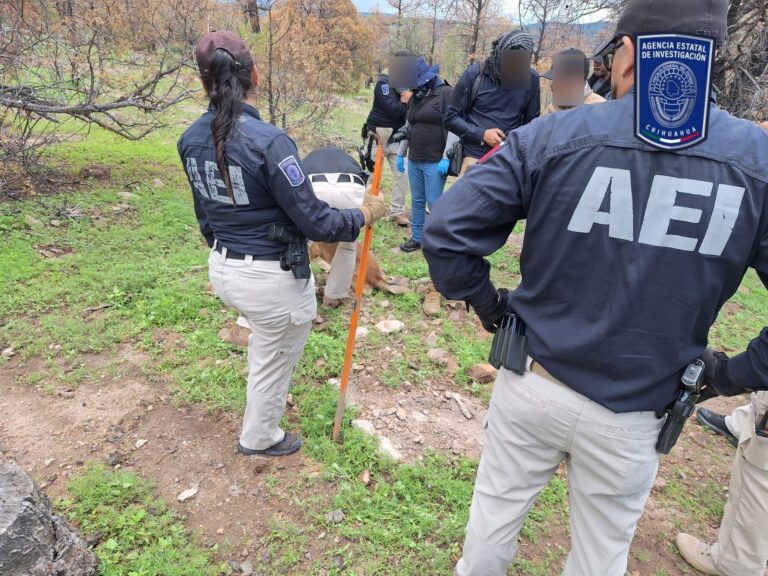 WhatsApp Image 2025-07-23 at 12.02.38 PM