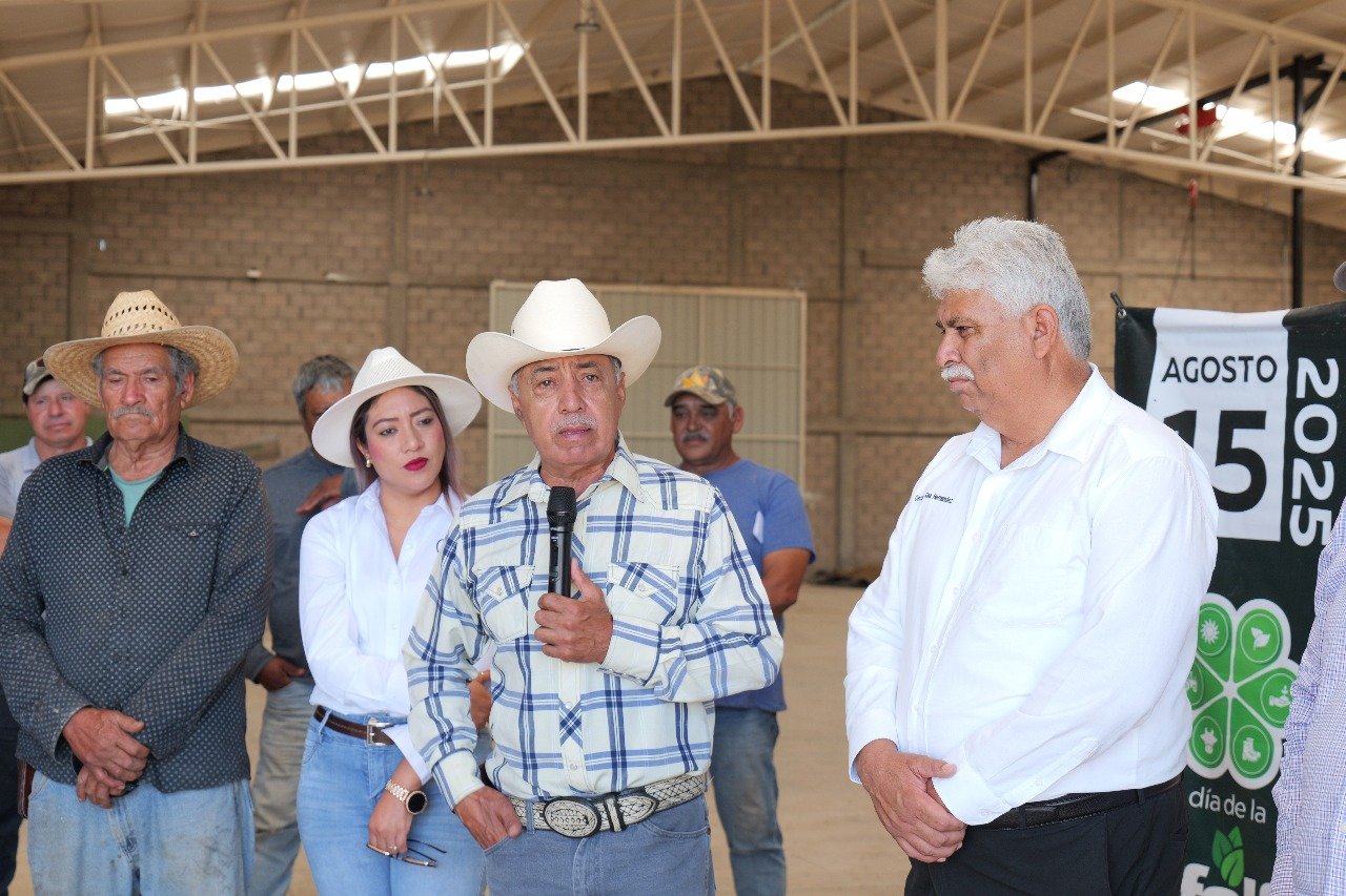 WhatsApp Image 2025-07-28 at 10.35.26 AM