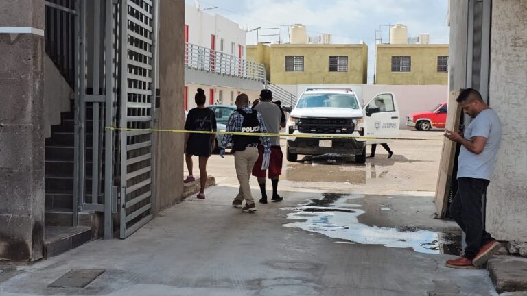 WhatsApp Image 2025-07-28 at 11.01.30 AM