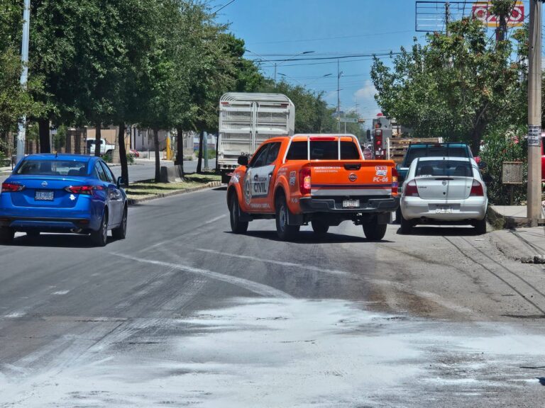 WhatsApp Image 2025-07-31 at 12.40.40 PM