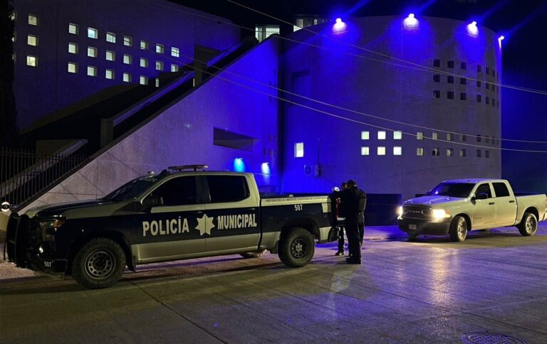 la raíz de chihuahua