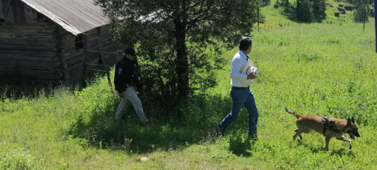 Captura de pantalla 2025-08-22 144539