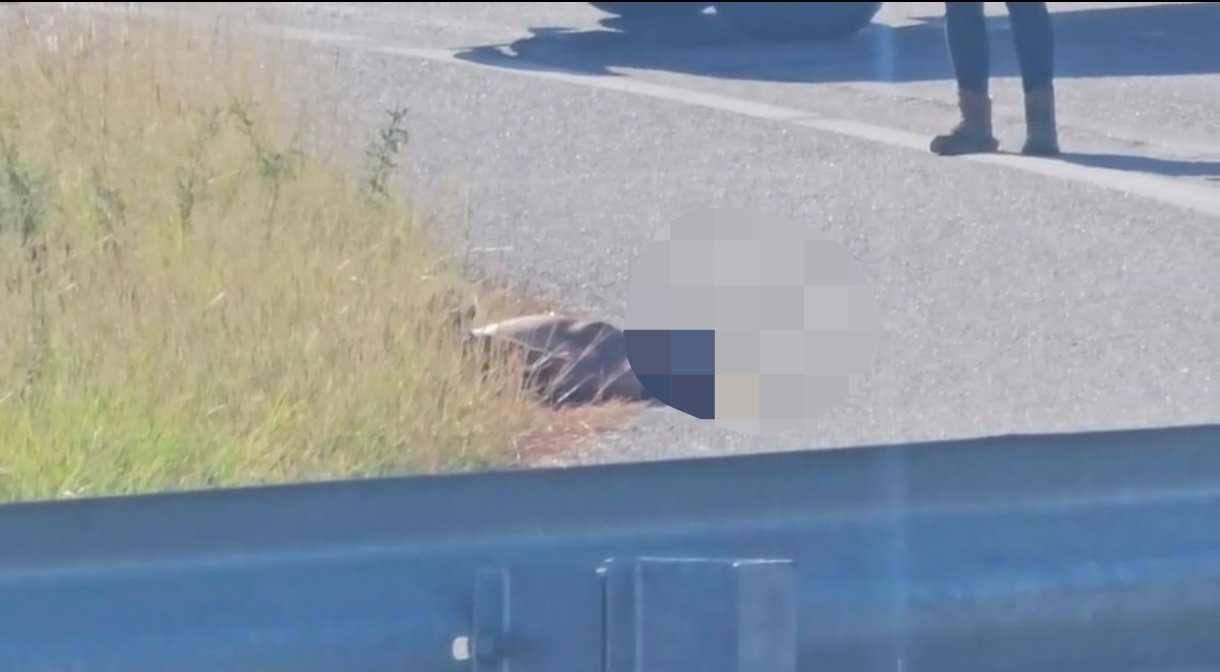 Screenshot_2025-08-28-11-06-37-489_com.whatsapp-edit