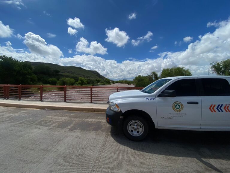 WhatsApp Image 2025-08-01 at 12.26.24 PM