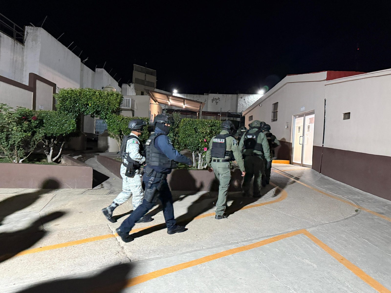 WhatsApp Image 2025-08-05 at 11.00.23 AM