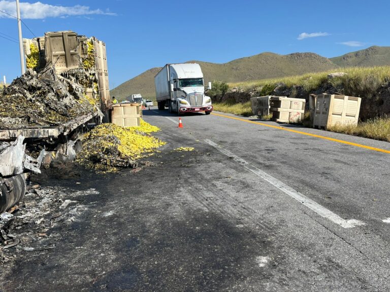 WhatsApp Image 2025-08-05 at 9.47.02 AM