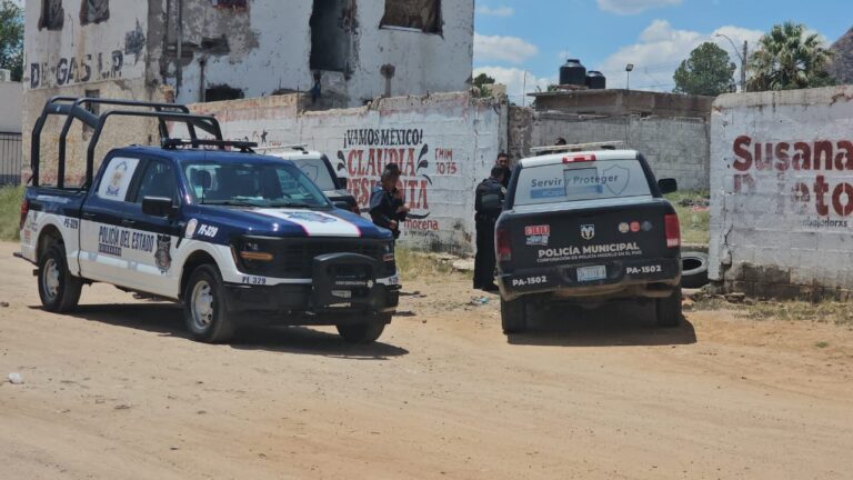 WhatsApp Image 2025-08-07 at 1.16.50 PM