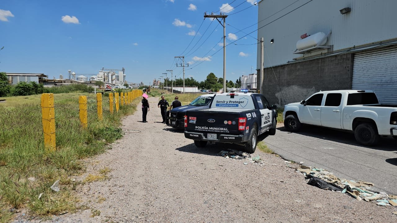 WhatsApp Image 2025-08-07 at 12.06.04 PM