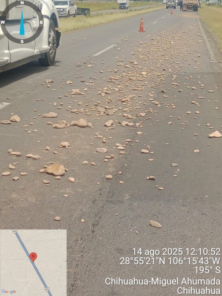 WhatsApp Image 2025-08-14 at 11.49.26 AM