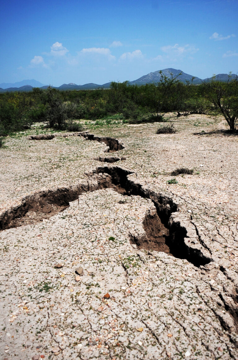 WhatsApp Image 2025-08-14 at 9.22.57 AM