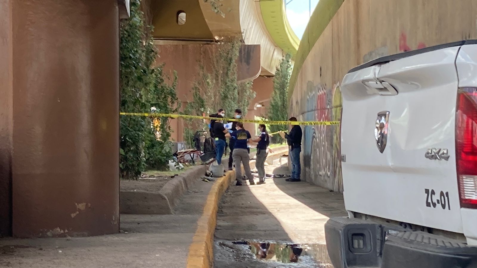 WhatsApp Image 2025-08-18 at 3.17.39 PM