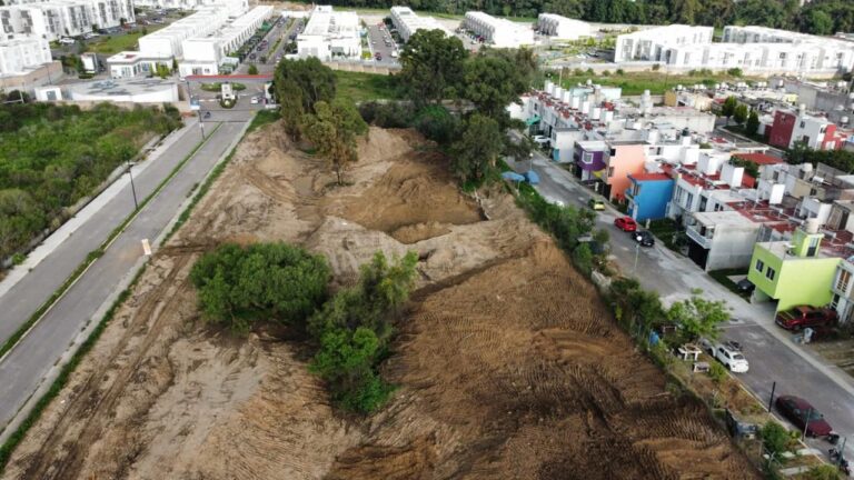 WhatsApp Image 2025-08-21 at 3.49.33 PM (1)