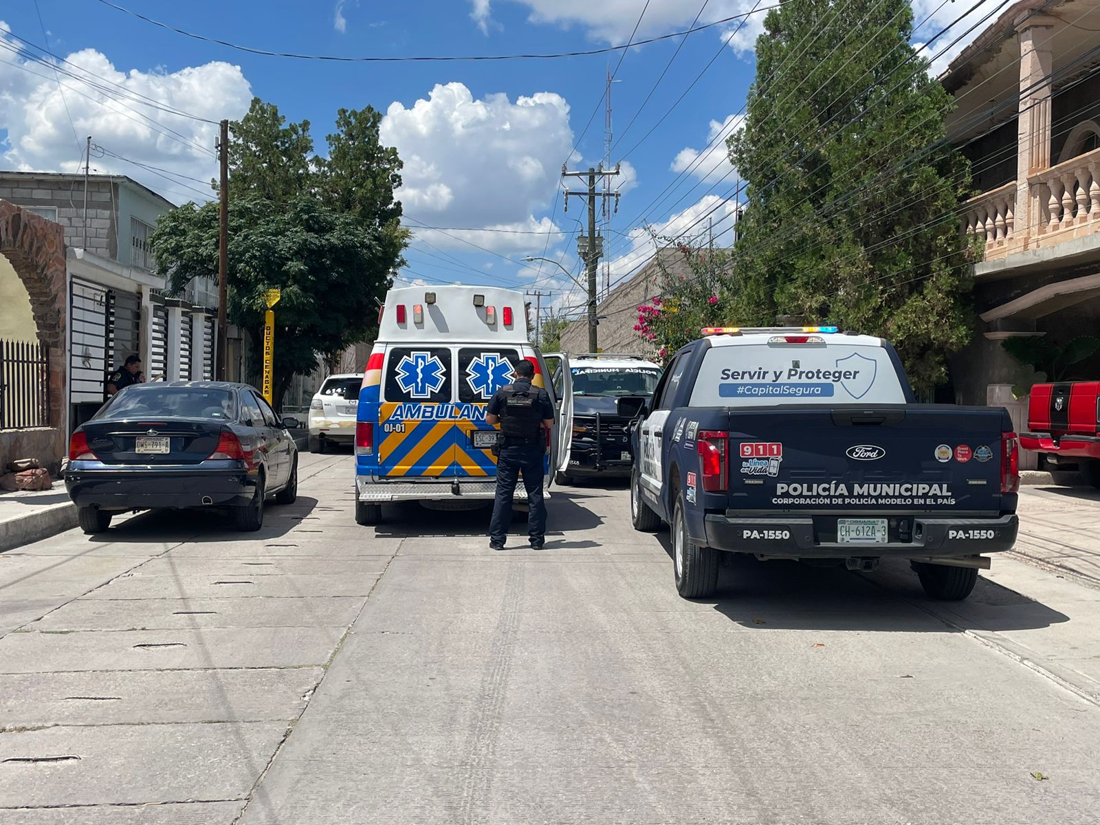 WhatsApp Image 2025-08-22 at 12.17.55 PM