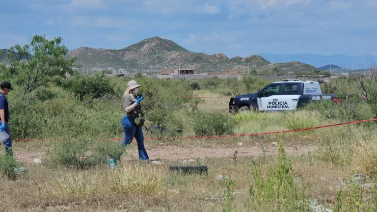 WhatsApp Image 2025-08-25 at 12.10.17 PM