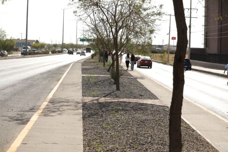 68b5cb136738a__68b5cb136738b