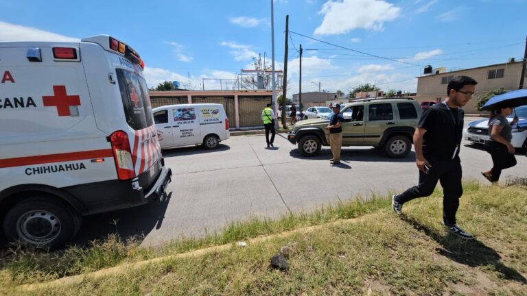 WhatsApp Image 2025-09-01 at 1.20.34 PM