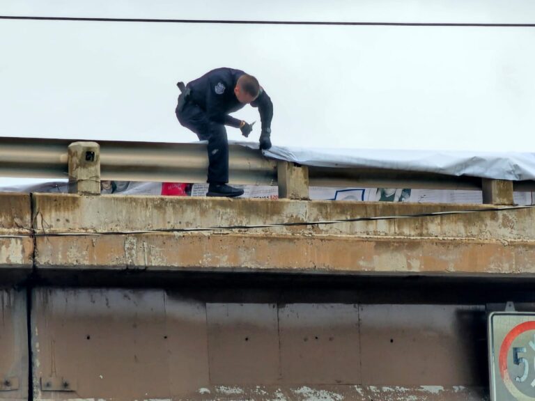 WhatsApp Image 2025-09-01 at 10.31.24 AM