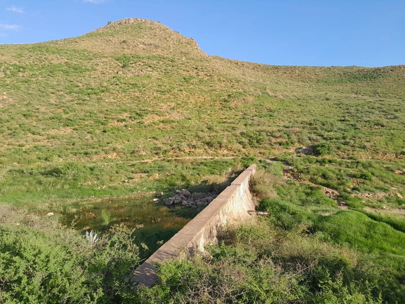 WhatsApp Image 2025-09-01 at 10.38.40 AM