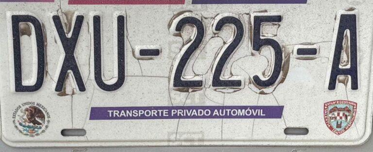 WhatsApp Image 2025-09-05 at 8.29.32 AM