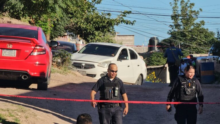 WhatsApp Image 2025-09-09 at 8.12.07 AM