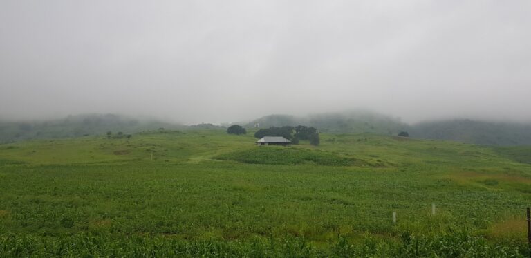 WhatsApp Image 2025-09-10 at 3.21.23 PM