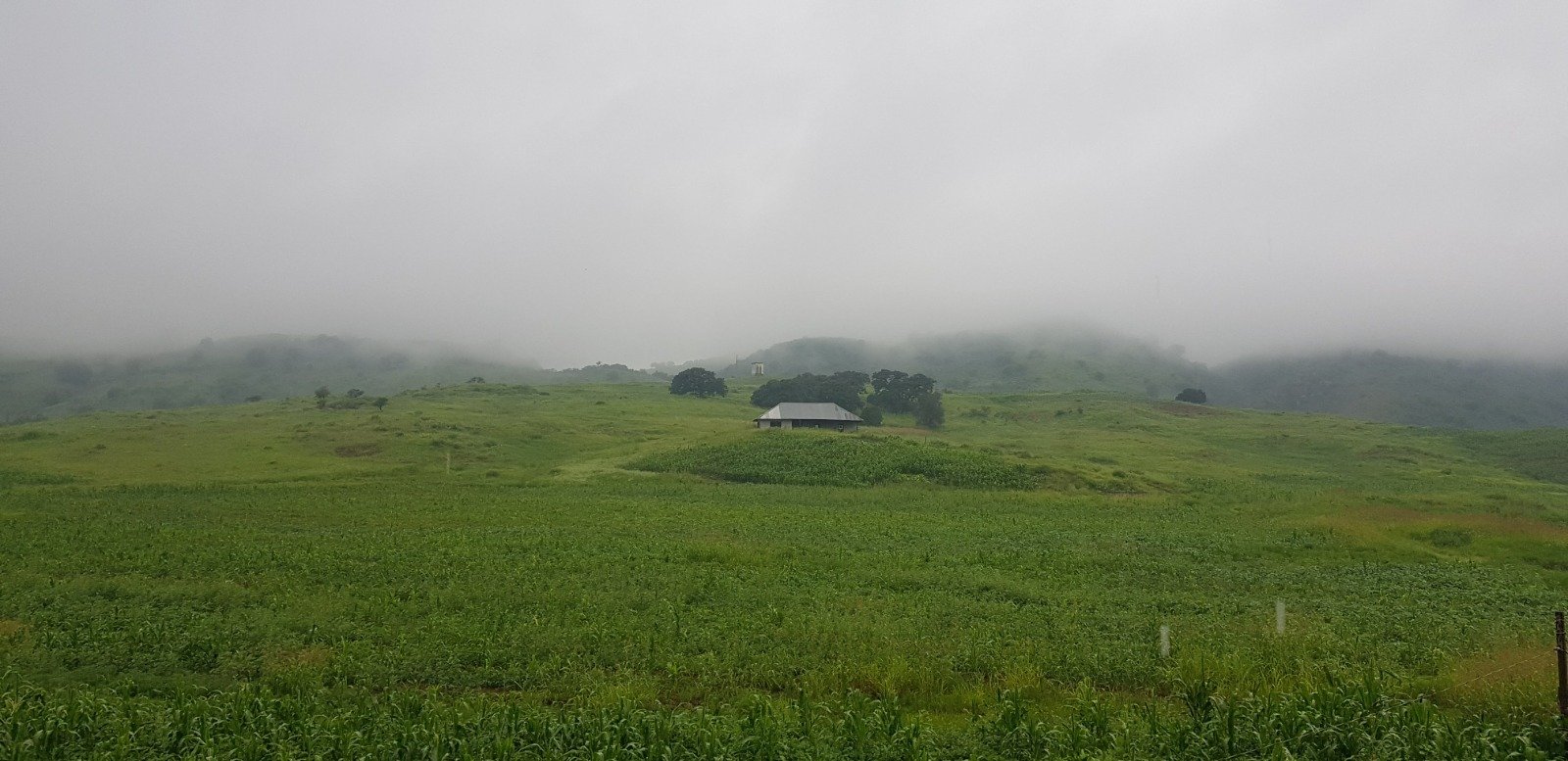 WhatsApp Image 2025-09-10 at 3.21.23 PM