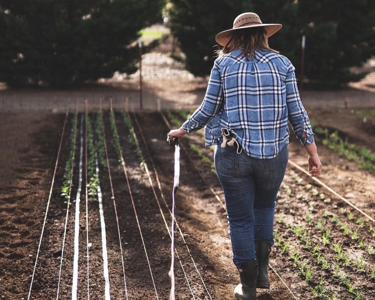 WhatsApp Image 2025-09-13 at 8.36.42 AM