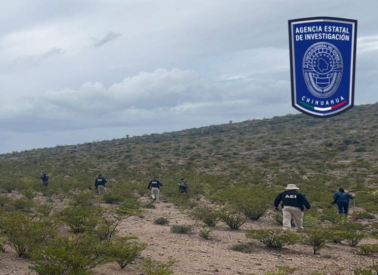 WhatsApp Image 2025-09-14 at 11.12.57 AM (1)