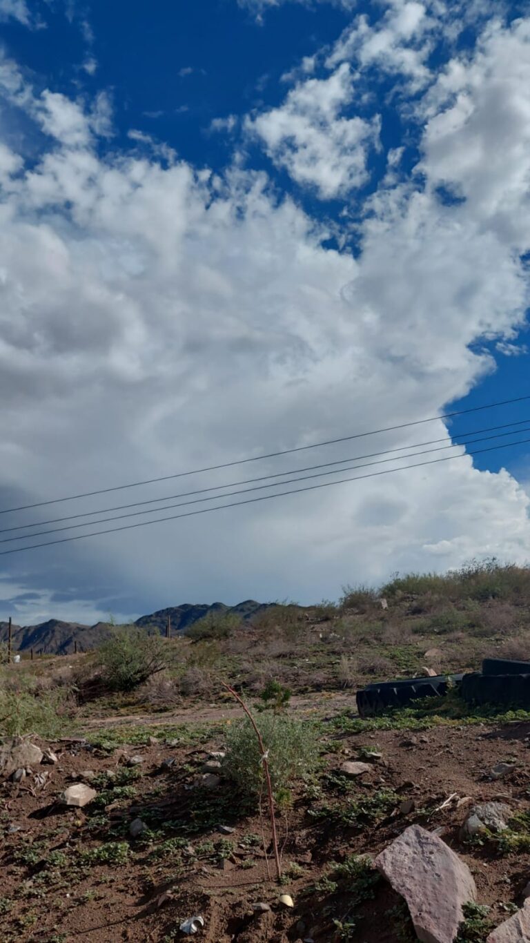 WhatsApp Image 2025-09-15 at 2.36.06 PM