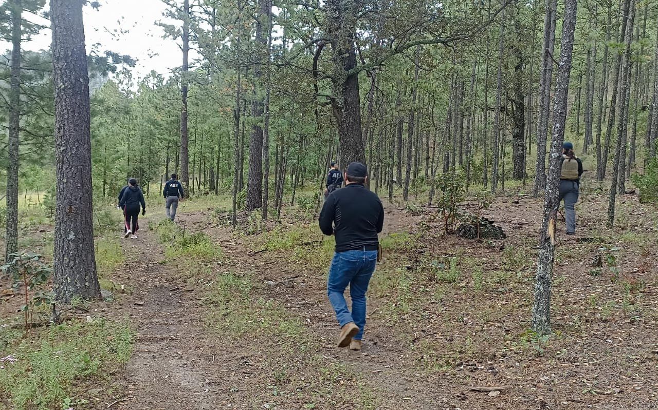 WhatsApp Image 2025-09-18 at 1.53.52 PM