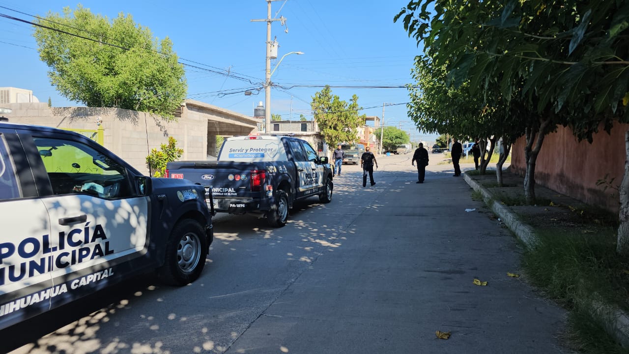 WhatsApp Image 2025-09-19 at 10.02.34 AM