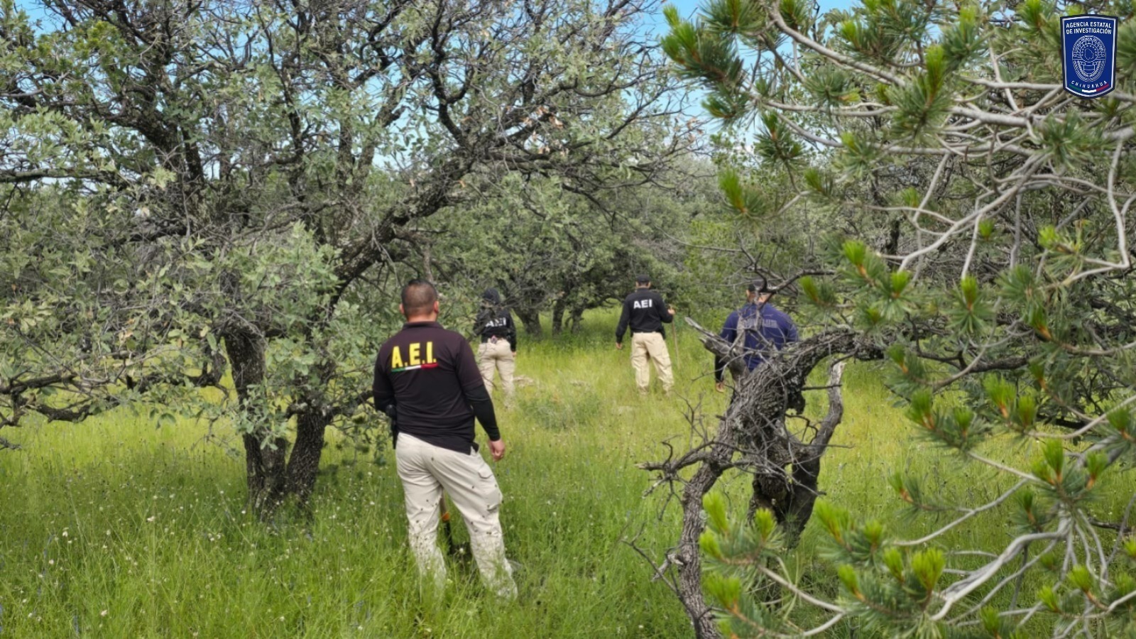 WhatsApp Image 2025-09-19 at 11.23.55 AM