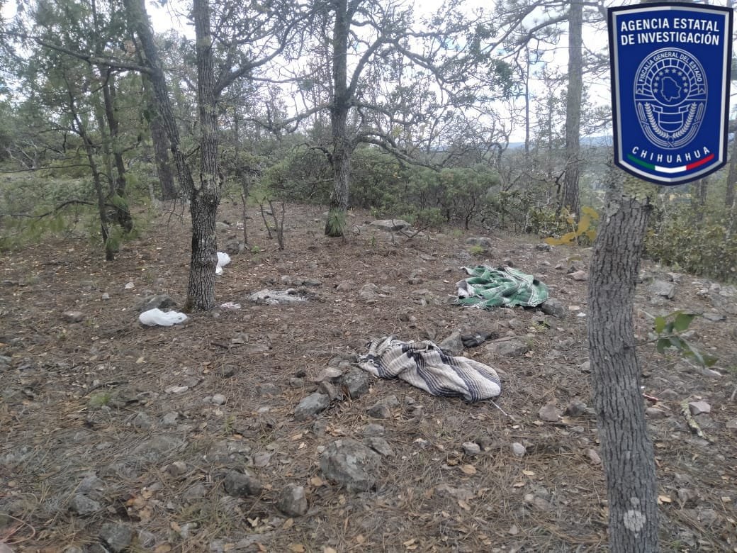 WhatsApp Image 2025-09-19 at 12.29.13 PM