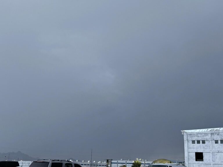 WhatsApp Image 2025-09-22 at 3.00.14 PM