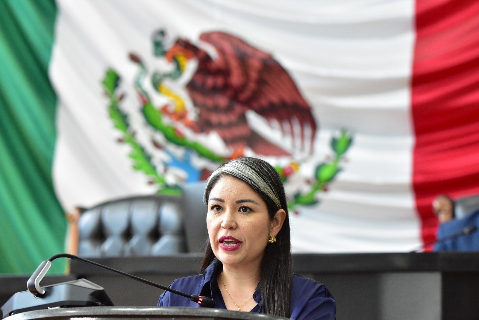 WhatsApp Image 2025-09-23 at 11.33.48 AM