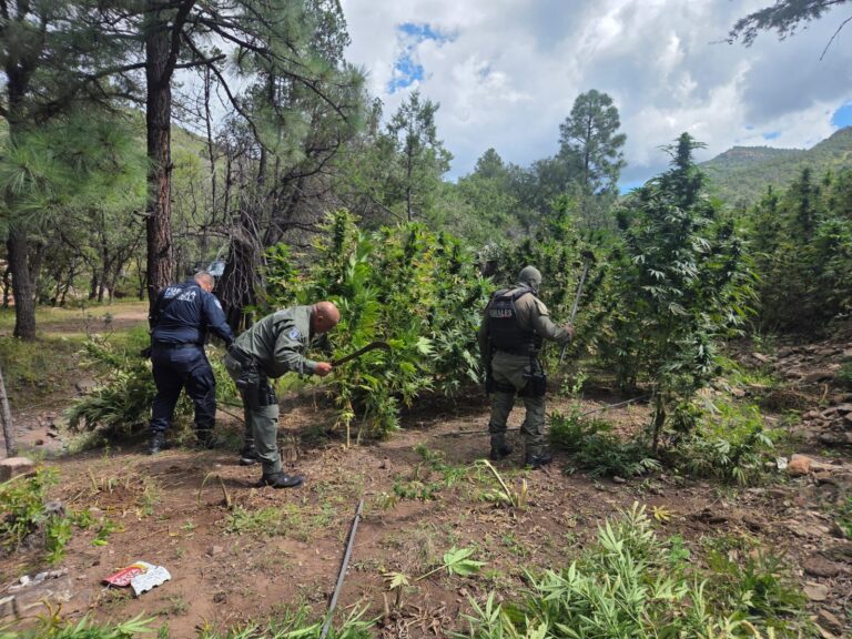 WhatsApp Image 2025-09-23 at 9.07.59 AM