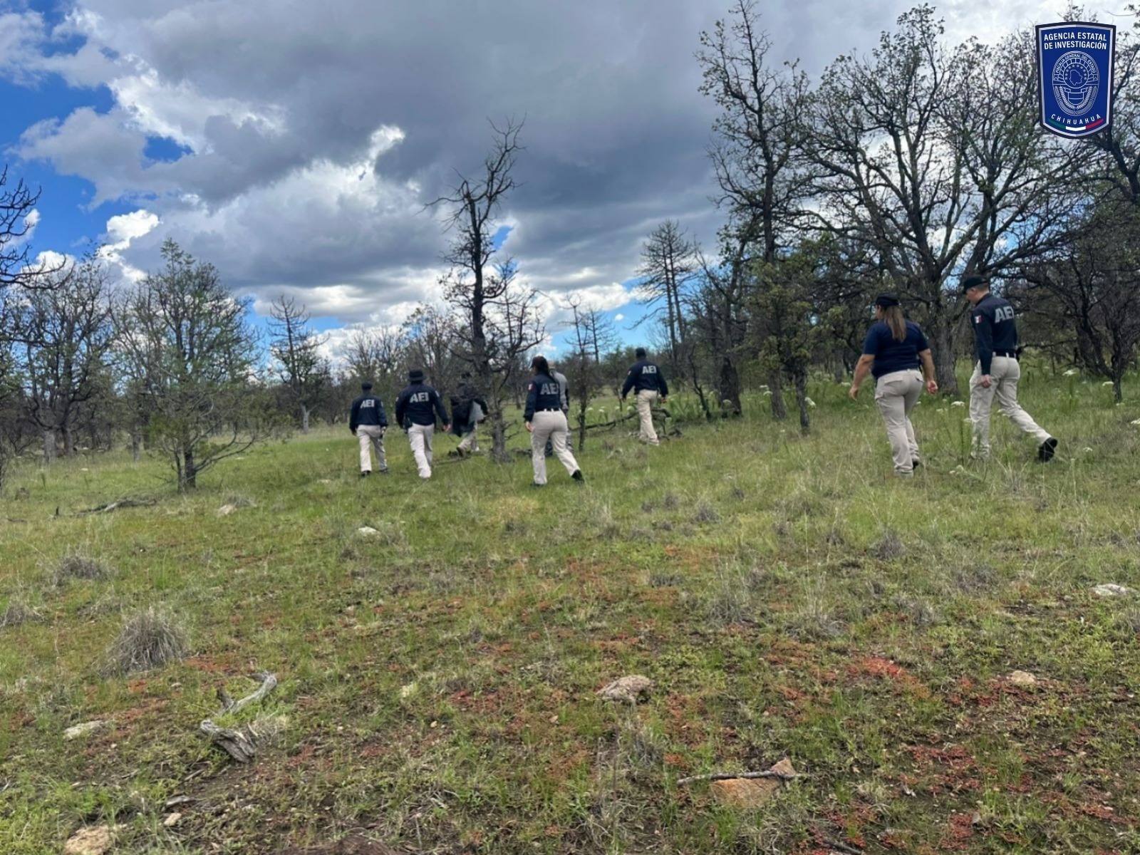 WhatsApp Image 2025-09-24 at 11.46.16 AM