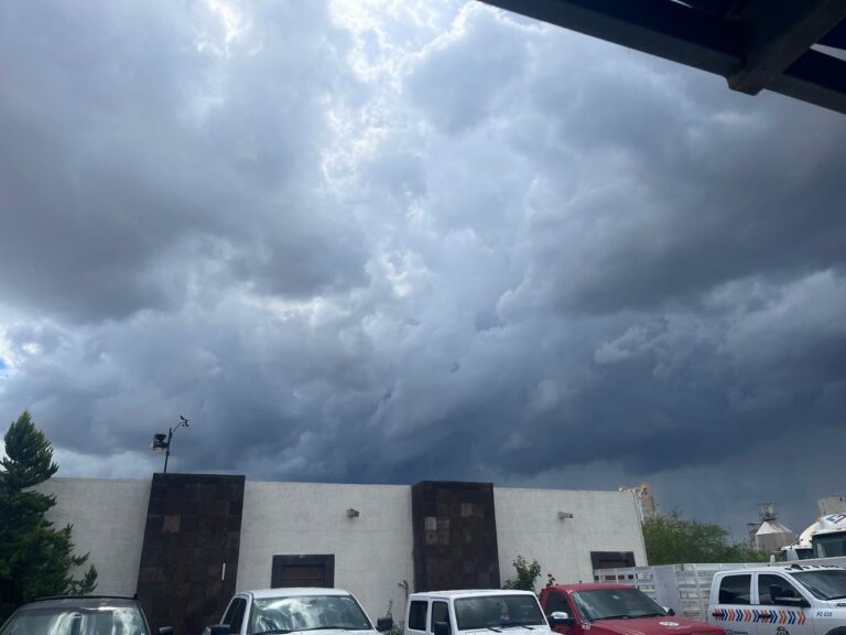 WhatsApp Image 2025-09-25 at 12.27.57 PM