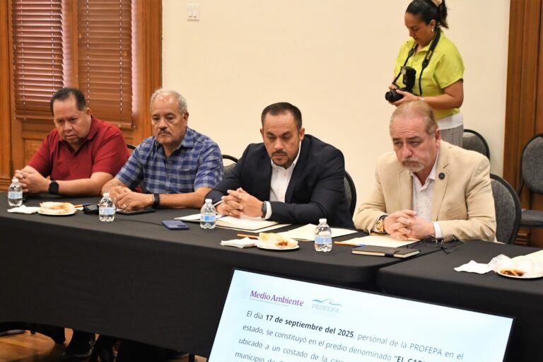 WhatsApp Image 2025-09-29 at 1.26.22 PM