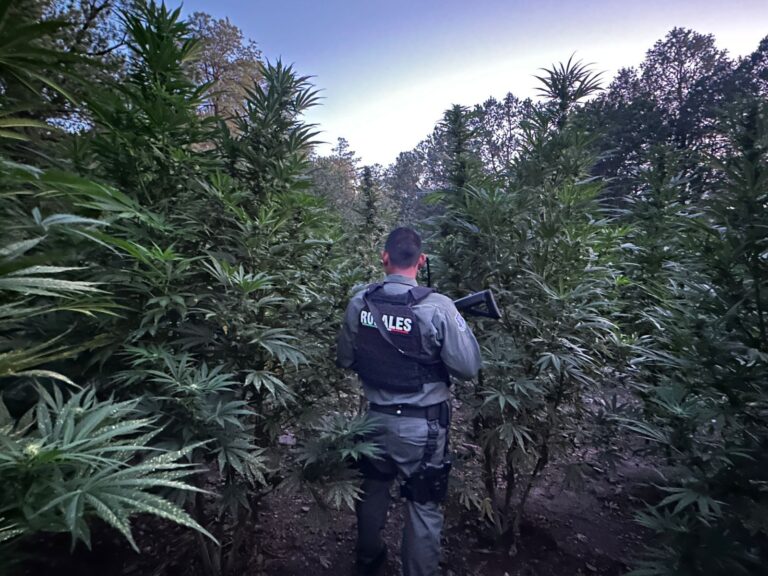 WhatsApp Image 2025-09-29 at 10.29.26 AM