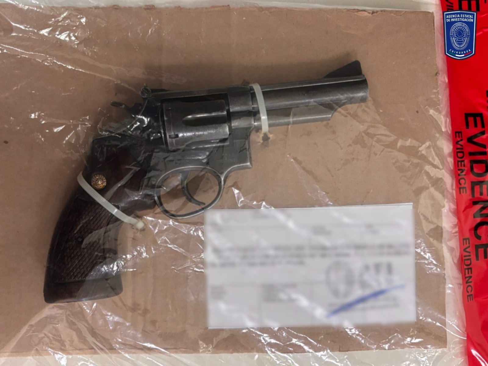 WhatsApp Image 2025-09-29 at 12.02.58 PM