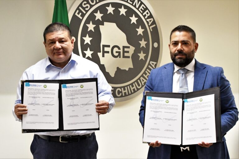 WhatsApp Image 2025-09-29 at 12.58.31 PM