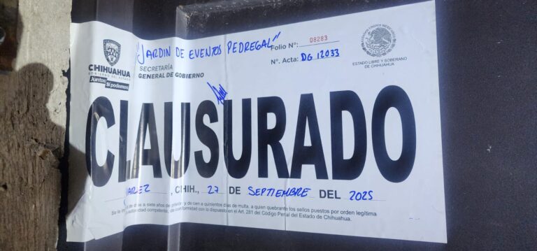 WhatsApp Image 2025-09-29 at 8.54.25 AM