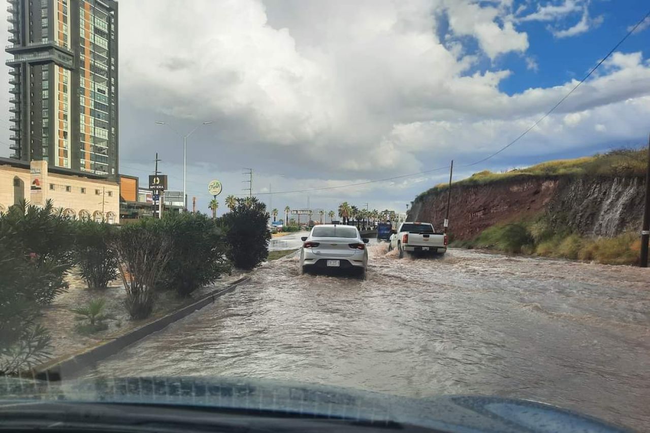 _hd15c14b936bcf5d31e389ef20912fefb7bd65a1d9