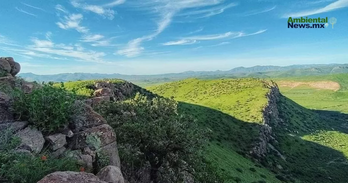 ANWEB-Asociacion-Salvemos-Los-Cerros-convoca-a-proteger-el-Cerro-del-Caballo-en-Chihuahua--jpg