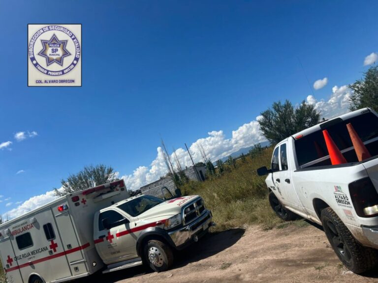 IMG-20251001-WA0043-1024x768