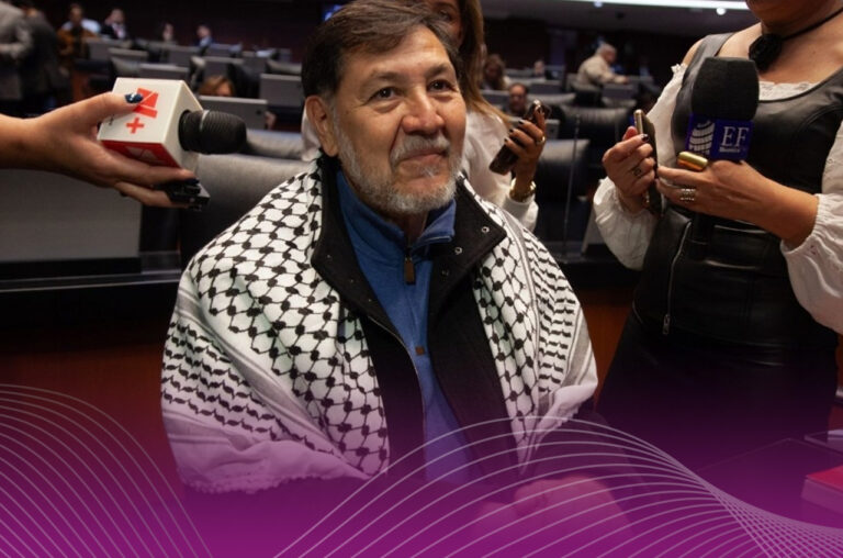 Norona-pedira-licencia-en-el-Senado-para-viajar-a-Palestina