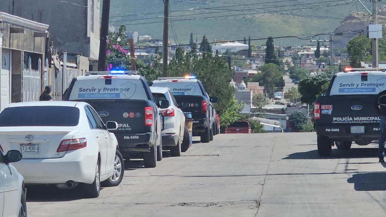 WhatsApp Image 2025-09-30 at 1.27.26 PM (1)