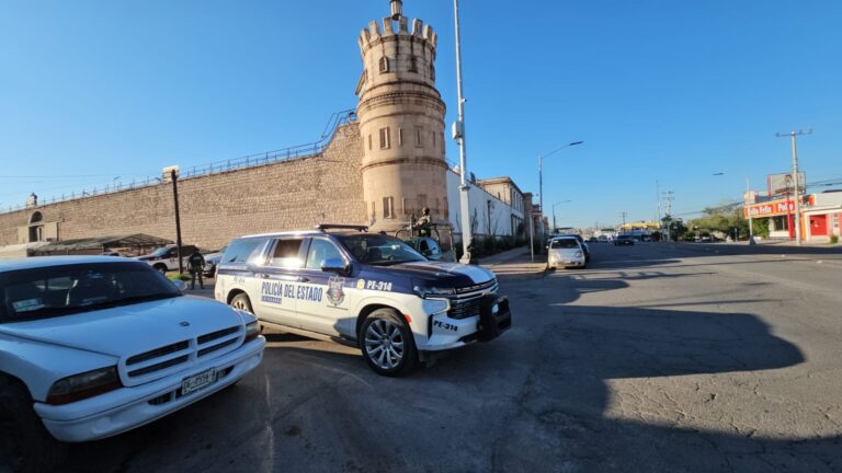 WhatsApp Image 2025-10-01 at 8.33.51 AM