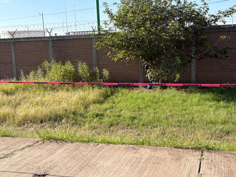 WhatsApp Image 2025-10-01 at 9.57.43 AM